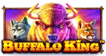 buffalo king